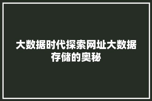 大数据时代探索网址大数据存储的奥秘 大数据时代探索网址大数据存储的奥秘