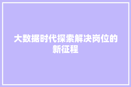 大数据时代探索解决岗位的新征程 大数据时代探索解决岗位的新征程