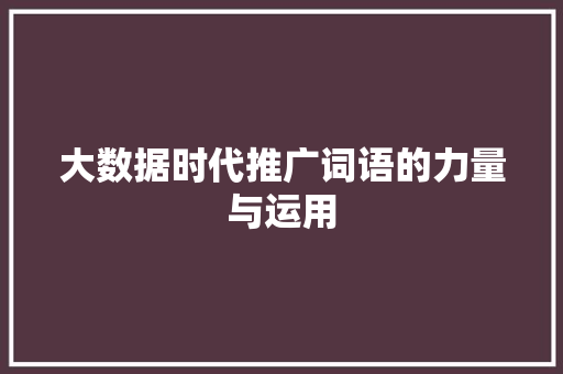 大数据时代推广词语的力量与运用