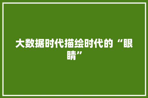 大数据时代描绘时代的“眼睛” 大数据时代描绘时代的“眼睛”