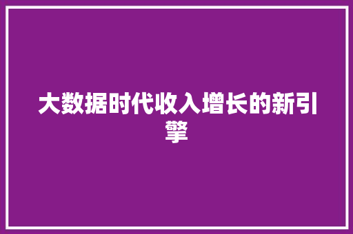 大数据时代收入增长的新引擎