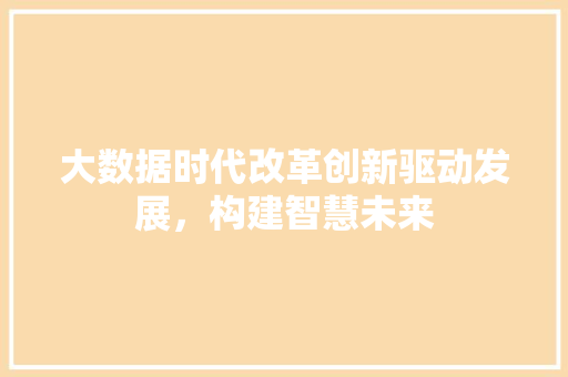 大数据时代改革创新驱动发展，构建智慧未来