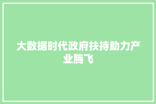大数据时代政府扶持助力产业腾飞