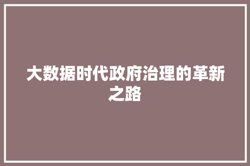 大数据时代政府治理的革新之路
