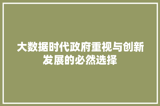 大数据时代政府重视与创新发展的必然选择