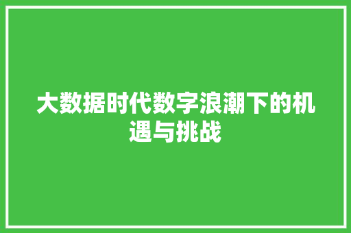 大数据时代数字浪潮下的机遇与挑战