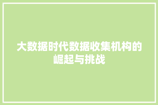 大数据时代数据收集机构的崛起与挑战
