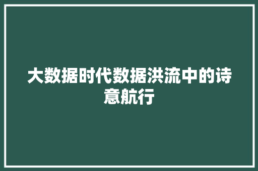 大数据时代数据洪流中的诗意航行