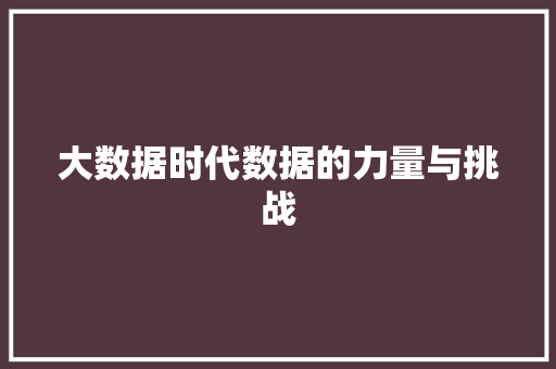 大数据时代数据的力量与挑战