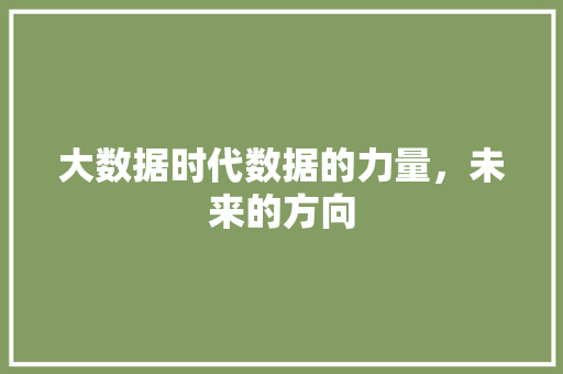 大数据时代数据的力量，未来的方向