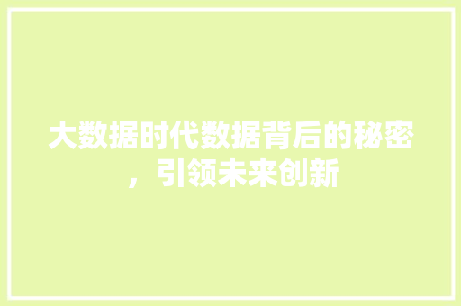 大数据时代数据背后的秘密，引领未来创新