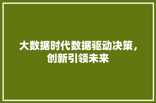 大数据时代数据驱动决策,创新引领未来 电脑故障维修 大数据时代数据驱动决策,创新引领未来 电脑故障维修