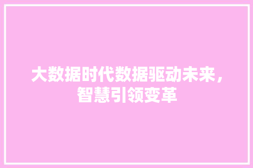 大数据时代数据驱动未来,智慧引领变革 大数据时代数据驱动未来,智慧引领变革