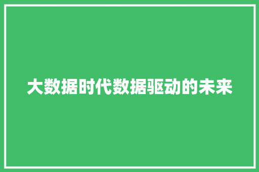 大数据时代数据驱动的未来 大数据时代数据驱动的未来