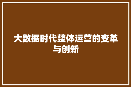 大数据时代整体运营的变革与创新