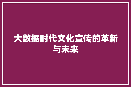 大数据时代文化宣传的革新与未来 网络技术 大数据时代文化宣传的革新与未来 网络技术