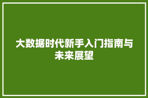 大数据时代新手入门指南与未来展望
