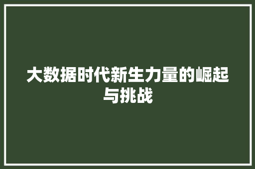 大数据时代新生力量的崛起与挑战