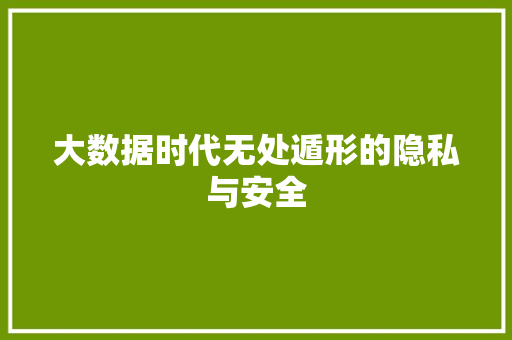 大数据时代无处遁形的隐私与安全