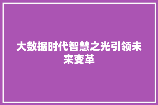 大数据时代智慧之光引领未来变革