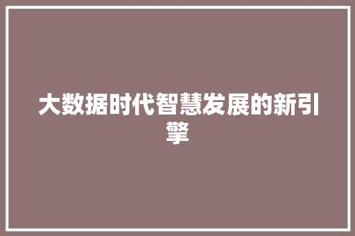 大数据时代智慧发展的新引擎