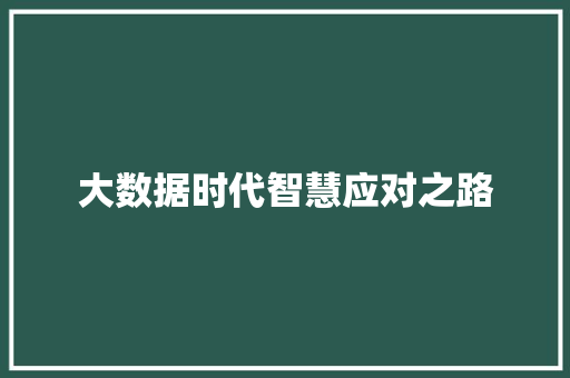 大数据时代智慧应对之路