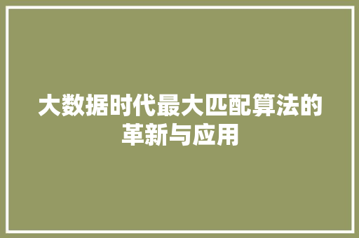 大数据时代最大匹配算法的革新与应用