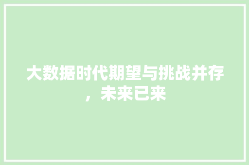 大数据时代期望与挑战并存，未来已来
