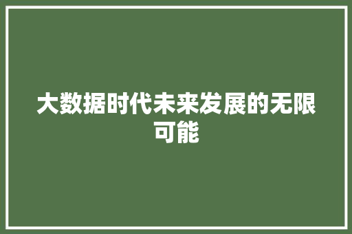 大数据时代未来发展的无限可能
