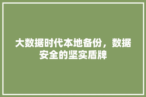 大数据时代本地备份，数据安全的坚实盾牌