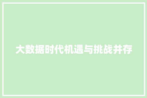 大数据时代机遇与挑战并存