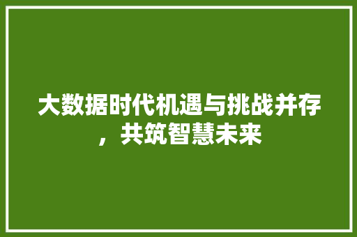 大数据时代机遇与挑战并存，共筑智慧未来