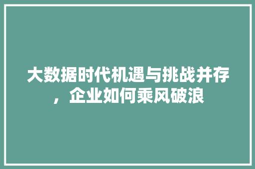 大数据时代机遇与挑战并存，企业如何乘风破浪