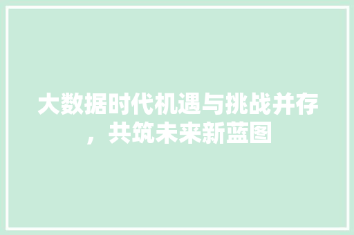 大数据时代机遇与挑战并存，共筑未来新蓝图
