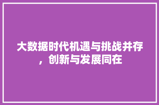 大数据时代机遇与挑战并存，创新与发展同在