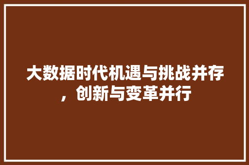 大数据时代机遇与挑战并存，创新与变革并行