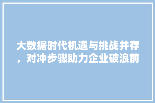 大数据时代机遇与挑战并存，对冲步骤助力企业破浪前行
