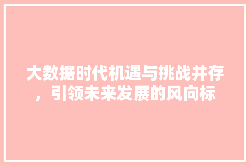 大数据时代机遇与挑战并存,引领未来发展的风向标 大数据时代机遇与挑战并存,引领未来发展的风向标
