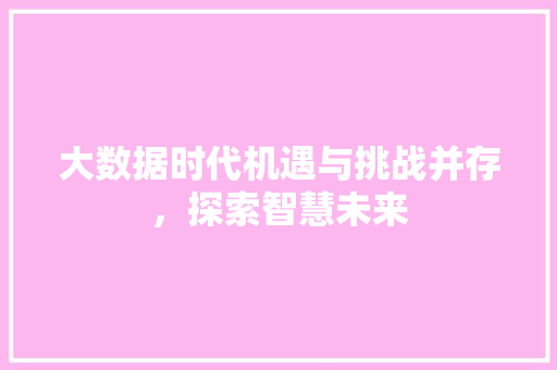 大数据时代机遇与挑战并存，探索智慧未来