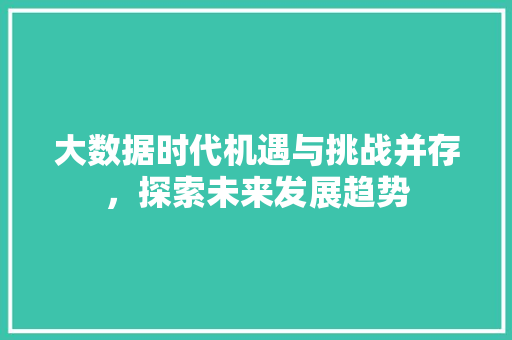 大数据时代机遇与挑战并存，探索未来发展趋势