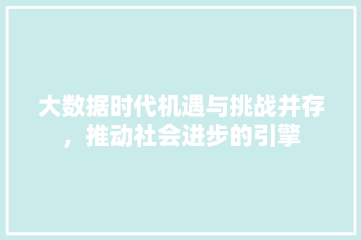 大数据时代机遇与挑战并存，推动社会进步的引擎