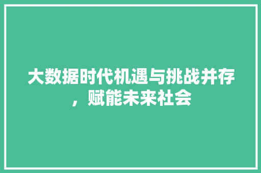 大数据时代机遇与挑战并存，赋能未来社会