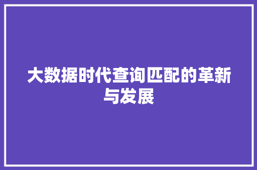大数据时代查询匹配的革新与发展 大数据时代查询匹配的革新与发展