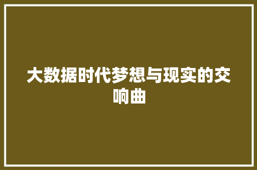 大数据时代梦想与现实的交响曲 大数据时代梦想与现实的交响曲