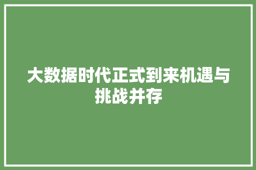 大数据时代正式到来机遇与挑战并存 大数据时代正式到来机遇与挑战并存