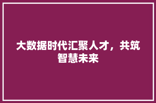 大数据时代汇聚人才，共筑智慧未来