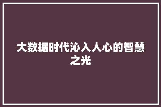 大数据时代沁入人心的智慧之光