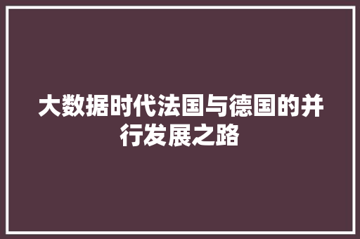 大数据时代法国与德国的并行发展之路