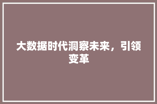 大数据时代洞察未来，引领变革
