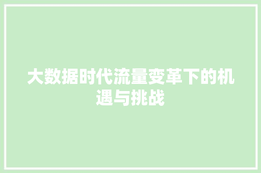 大数据时代流量变革下的机遇与挑战